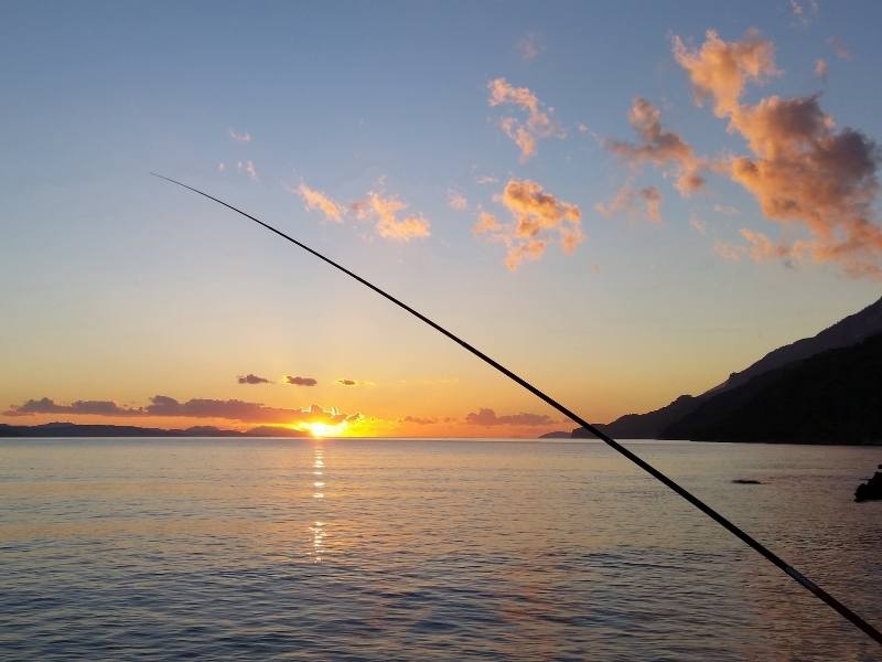 Co musisz wiedzieć o łowieniu ryb, aby łowić skutecznie?